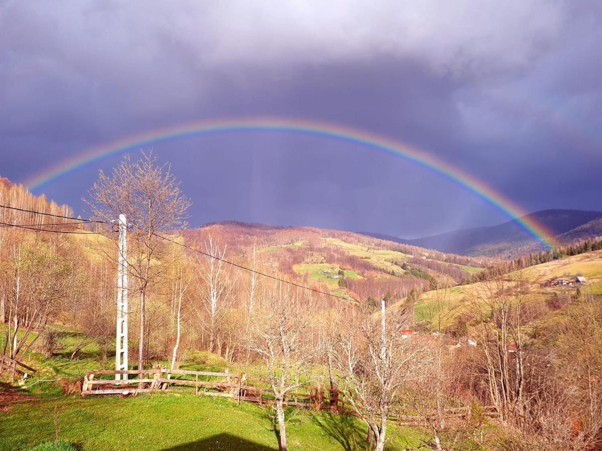 Apuseni Holidays Rachitele Exterior foto