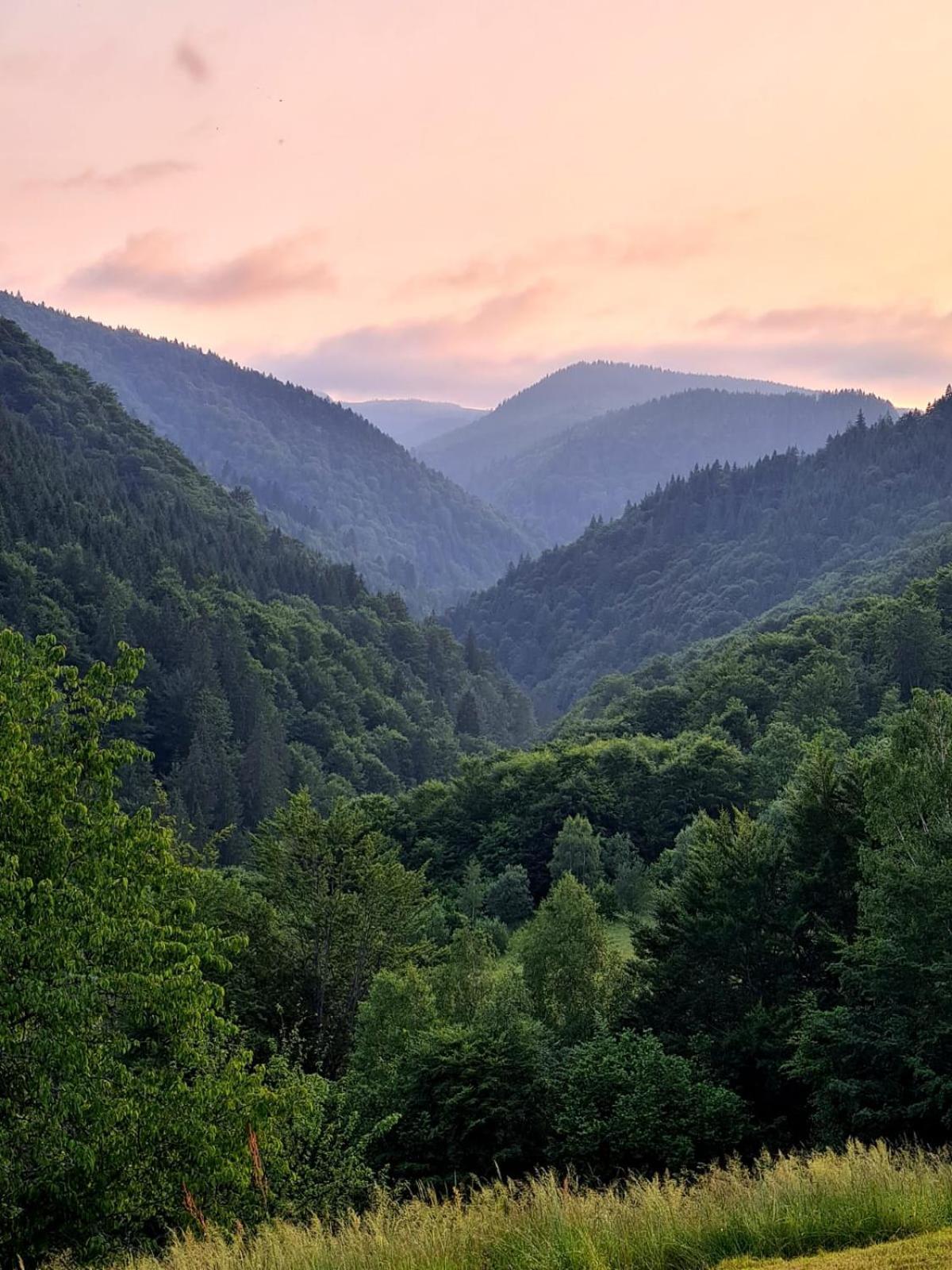 Apuseni Holidays Rachitele Exterior foto
